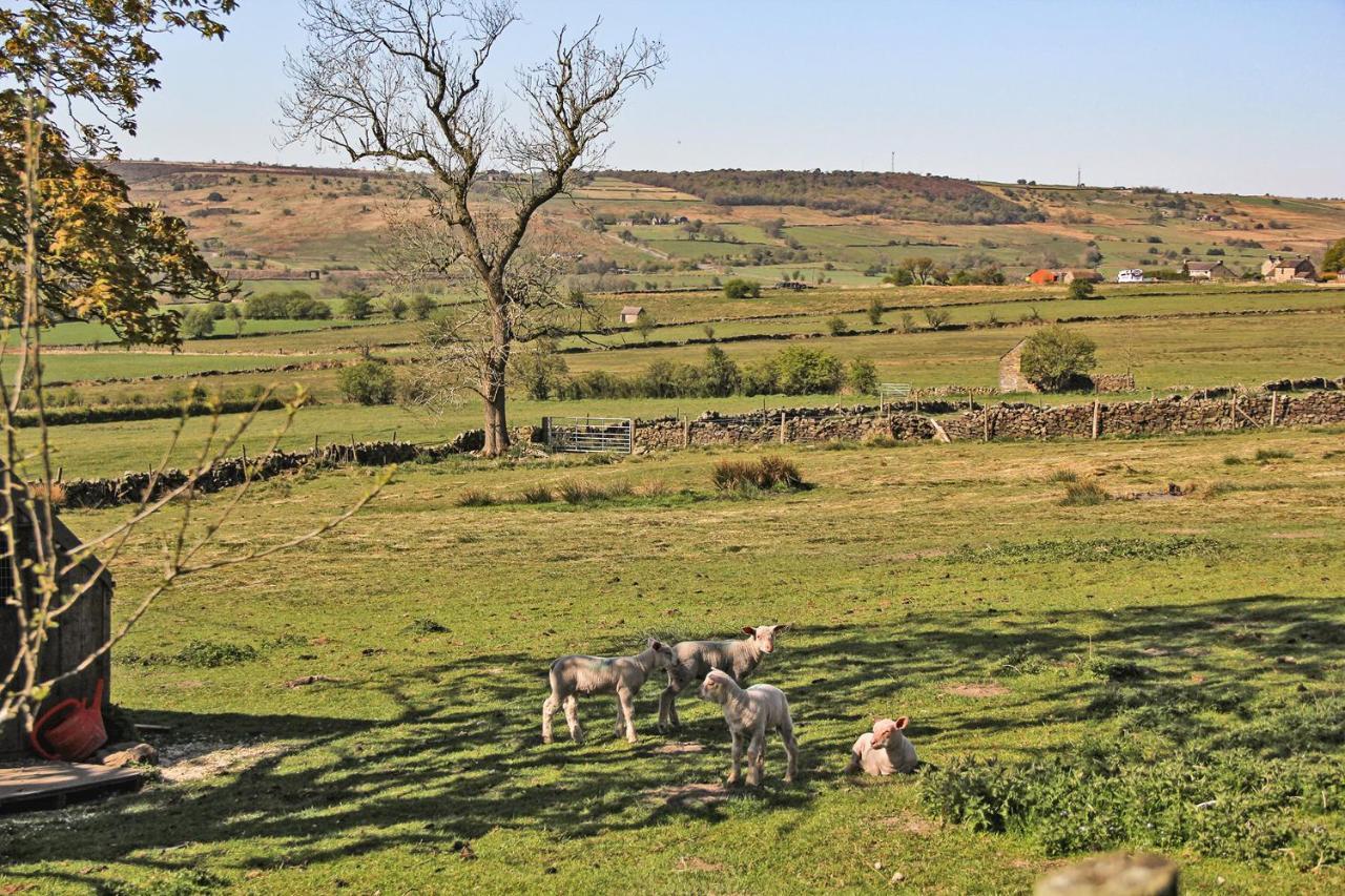 Moorland View Farm B&B Oakamoor Εξωτερικό φωτογραφία