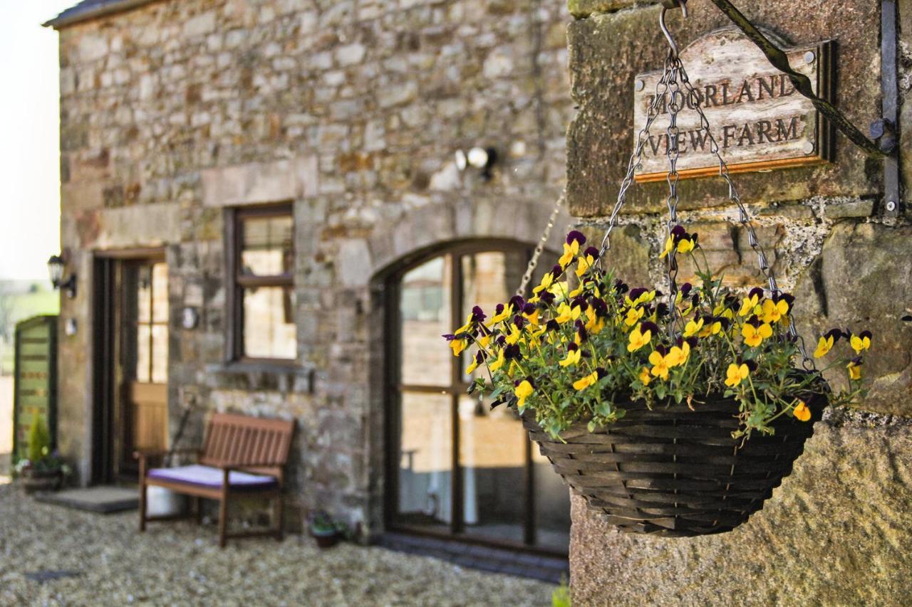 Moorland View Farm B&B Oakamoor Εξωτερικό φωτογραφία